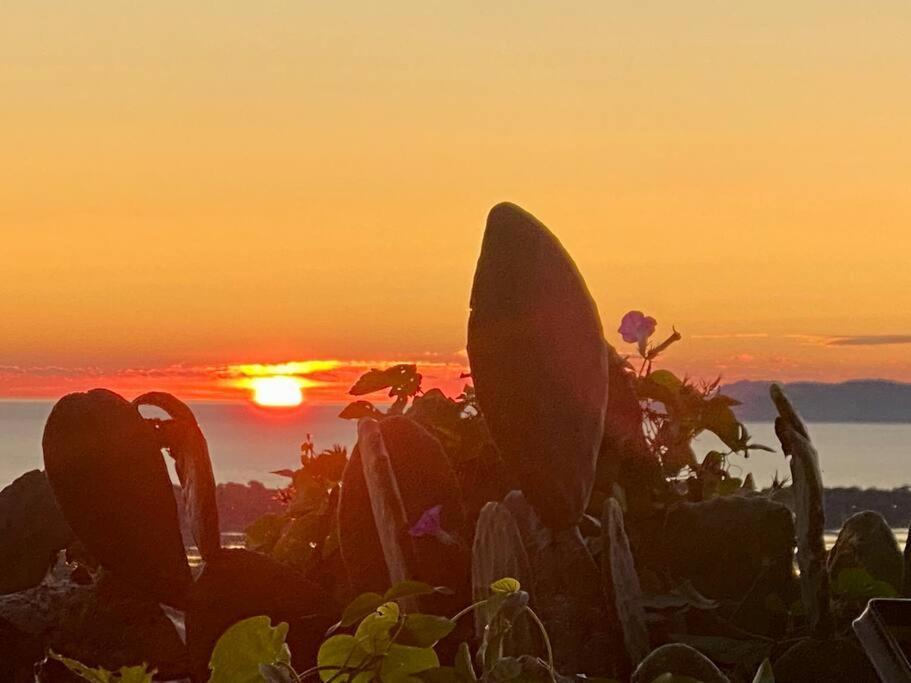 Vue Mont Des Oiseaux Apartment Hyeres