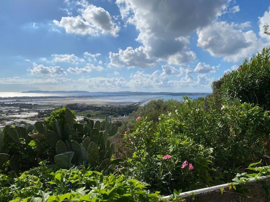 Vue Mont Des Oiseaux * Hyeres